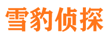 南山市婚姻出轨调查